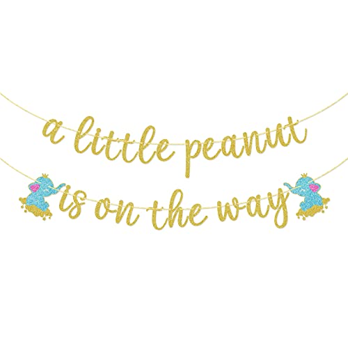 A Little Peanut Is On The Way Glitter Banner, It's a...