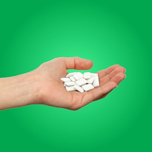 PUR Gum | Sugar Free Chewing Gum | 100% Xylitol | Vegan, Aspartame Free, Gluten Free & Diabetic Friendly | Natural Spearmint Flavoured Gum, 9 Pieces (Pack of 12)