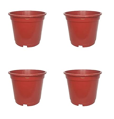 Wonderland 8 inch Set of 3 Big Planter ( Plastic Pots for Home Plants