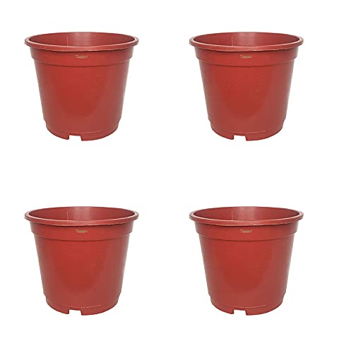 Image of Wonderland 8 inch Set of 3 Big Planter (Plastic Pots for Home Plants)