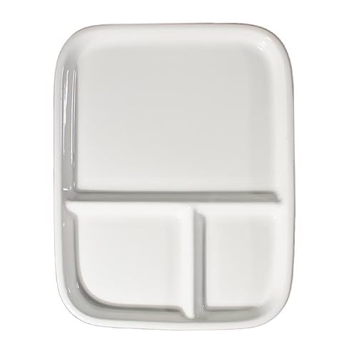 Paleta de acuarela de porcelana de 25,4 x 17,8 cm, bandeja rectangular de cerámica para pintores, gouache
