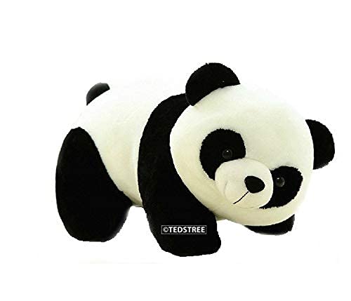 TEDSTREE Cute Stuffed Soft Toy for Kids Lovable Huggable Perfect Present for Birthday, Babies & Children Teddy Bear Toy (20 Cm, Black, White)