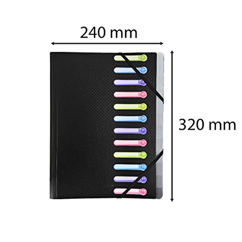 Exacompta 55981E Classificatori con Punti