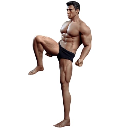 HiPlay TBLeague 1/12 Cuerpo Masculino Musculoso Sin Costuras Piel Bronceada con Escultura de Cabeza TM02A Versión Músculo Figuras de Acción Cuerpo