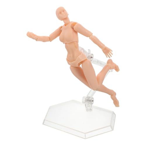 BCOATH Painting Sketching Holder Joint Kit Realistic Human Anatomy Drawing Model for Artists
