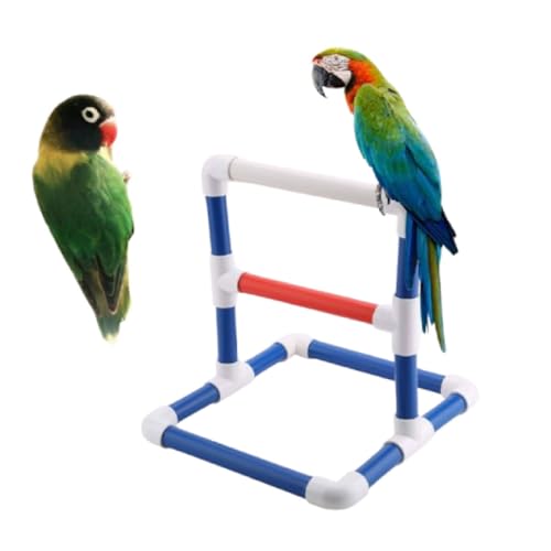 Bird Perch, Parrot Stand Perch Rack Bird Play Training Stands Parrots Shower Perches for Macaw Cockatoo African Grey Budgies Parakeet (PVC 2)