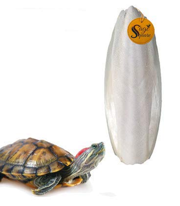 Sage Square Natural Calcium Source Cuttlebone Fish for Turtle (100grm)
