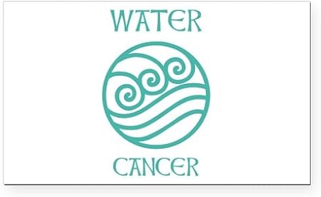 CafePress Water Sign Symbol Astrology Pisces Rectangle Car M Rectangle Car Bumper Magnet