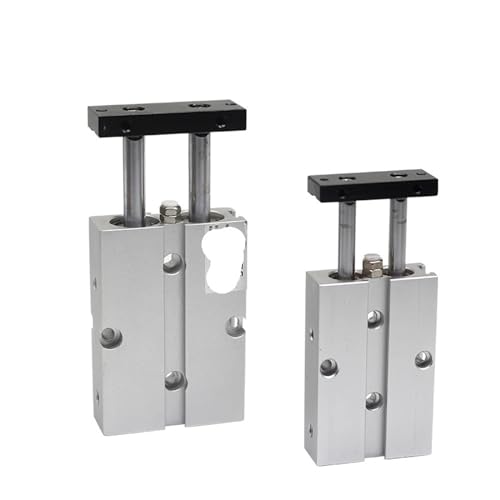 Cylindre pneumatique à double effet rigide TN10X10S double tige