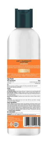 Jason Dandruff Relief Treatment Shampoo, 12 Fl. Oz (Pack Of 1) - Packaging May Vary #TOP1