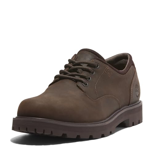Timberland Men's Britton Road Low Lace-up Waterproof Shoe