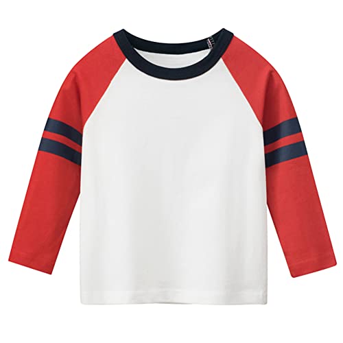 Julerwoo Toddler Boys Cotton Dinosaur T Shirt 3 Pack Long Sleeve Shirts Top for 2-8 Years3