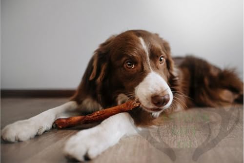 ARTISAN GIFT CO Ochsenziemer für Hunde - 100% Trockenfleisch Hundeleckerlis, geeignet für die Barf-Diät - Bullensticks für Hunde - (30cm) - Sparpaket 5 st.