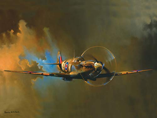 Harvesthouse Spitfire Vintage Funny Home Decor Tin Sign Retro Metal Poster,12 x 16 Inches