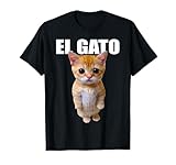 El Gato Meme Sad Crying Cat Munchkin Kitty Meme