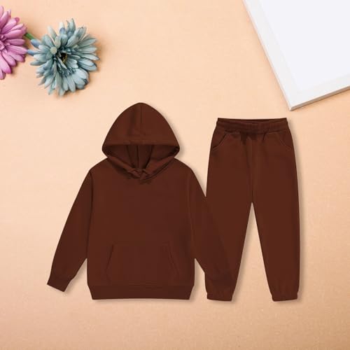 Toddler Kids Cute Sweatsuit Boys and Girls 2 Piece Tracksuit Hooded Sweatshirts Joggers Sweatpants Fall Outfits Sets3
