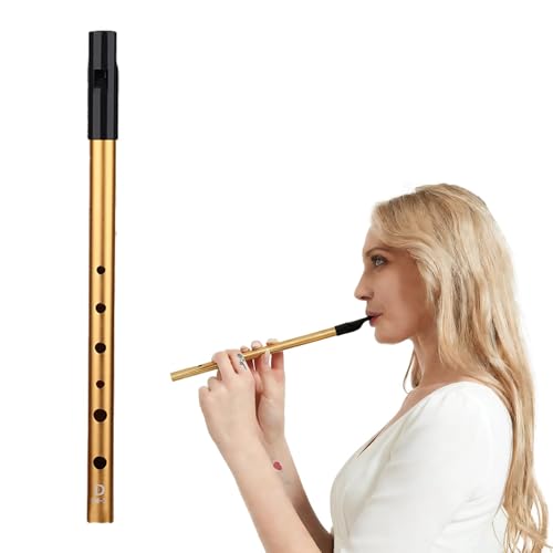 Flûte Irlandaise Tin Whistle Tonalité D Irish Tin Whistle Traditional tin whistle Avec Son...
