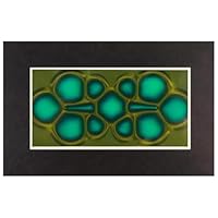 Elqubkan Magnetischer Betrachtungsfilm, 2 X 4 Magnetfeldbetrachter für Wissenschaftliche Projekte, Wiederverwendbar und Automatisch Wiederherstellbar