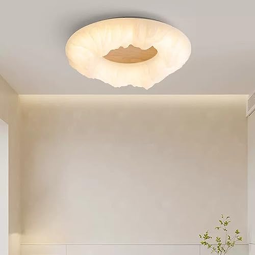 Plafond light moderne LED cercle bague luminaire bois cuisine