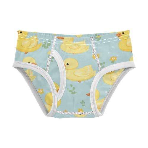 Wusikd Cute Duck Boys' Underwear Cotton Flowers Boys Briefs Soft Toddler Underwear 2T
