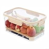 Snackbox, tragbare Outdoor-Picknick-Konservierungsbox mit Griffen, große Kapazität, Aufbewahrung für Mahlzeiten, Getränke und Kühlakkus