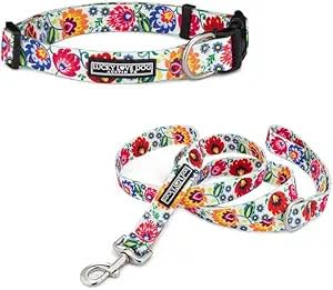 Lucky Love Dog Ladybird Collar and Leash Combo Large