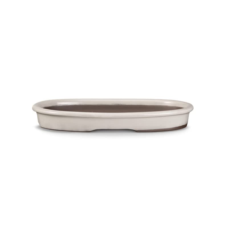 CERTRE - Vaso Bonsai Ovale in Gres, Modello Pisa, Made in Italy, Colore Panna (Smaltato)| Misure esterne 39x24,7x3,7 cm