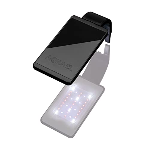 PANTALLA LEDDY SMART PLANT NEGRA 8000 K 4.8 W