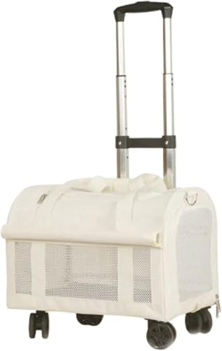 XinYiRich L L[obO  L 4 2C ybgobO L[P[X 傫 y e ybgL[ LX^[t  ybg o L 萫 ʋC  bN hCu s O ЊQpybgobO (