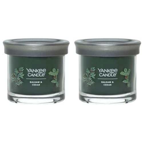 Yankee Candle Small Tumbler Scented Single Wick Jar Candle, Balsam Cedar, Over 20 Hours of Burn Time, 4.3 Ounce (Pack of 2)