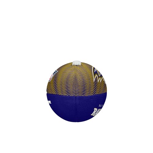 Image of WILSON Unisex NFL Team Tailgate Footballs