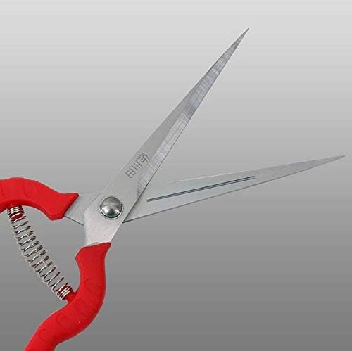 Extra Long Edge Stainless Steel Pruning Shears Fruit Trees Bonsai Sharp Garden Scissors Tool - Image 5