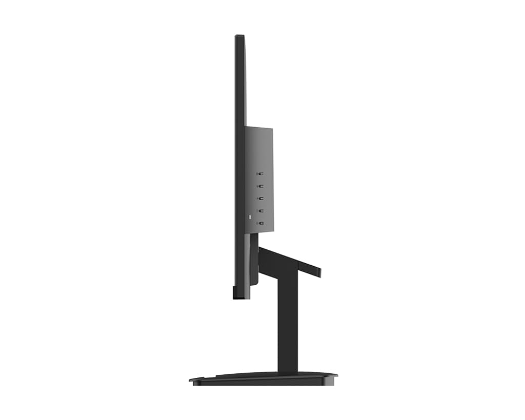 MSI PRO MP2412DE 23,8 pollici, FHD (1920 x 1080), 100 Hz, pannello VA, HDMI, Displayport, nero