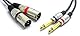 VITALCO 2x XLR Stecker auf 2x 6.3mm TS Klinke Kabel 3m Mikrofonkabel 3 Polig Männlich auf Mono Klinkenstecker Audio Adapter