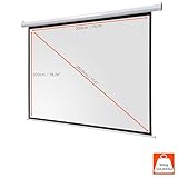 Celexon Motorleinwand 200 x 200 cm, Format 1:1 - 2