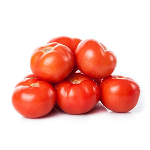 Tomato Jordan 500 g Approx.