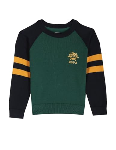 Image of U.S. POLO ASSN. Boys Cotton Turtle Neck Sweater
