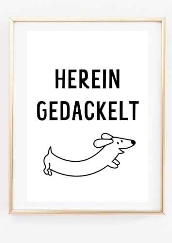 Din A4 Kunstdruck ohne Rahmen - Herein gedackelt - Herein Willkommen - Dackel Eingang Flur Haustür - Bild Poster Geschenk Din A4 Kunstdruck ohne Rahmen - Herein gedackelt - Herein Willkommen - Dackel Eingang Flur Haustür - Bild Poster Geschenk