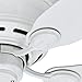 Hunter 42 inch Indoor Ceiling Fan No Light - White Ceiling Fan without Light, Low Profile Mount, 5 Blades, For Bedroom, Living Room, or Kitchen, Pull Chain - Low Profile IV 51059, Snow White
