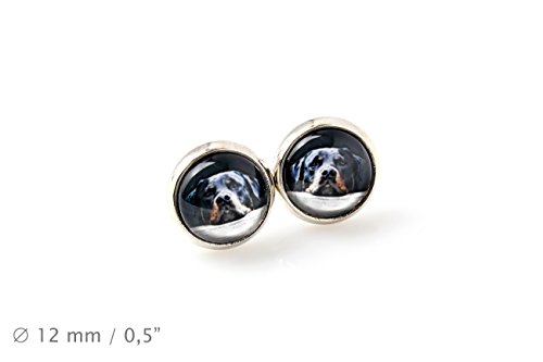 Art-Dog Ohrringe mit Hundefotos | Handgefertigter Schmuck | Durchmesser 12mm | Antiallergisch ohne Nickel, Farbe Silber | Geschenkidee | Rottweiler