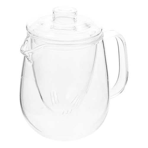 QUMIIRITY 耐熱ガラスティーポット 茶こし付き 抗熱持ち手付き 茶葉容器 花 果実 工芸茶対応 家用オフィス向け