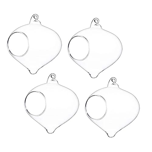 Yardwe 4 Stück ökologische Vase für den einzug bürodeko Garden Decoration pflanzer Luftpflanzenkugeln Kiefer hängende Vase Hängevase Glas mit hohem Borosilikatgehalt Transparent