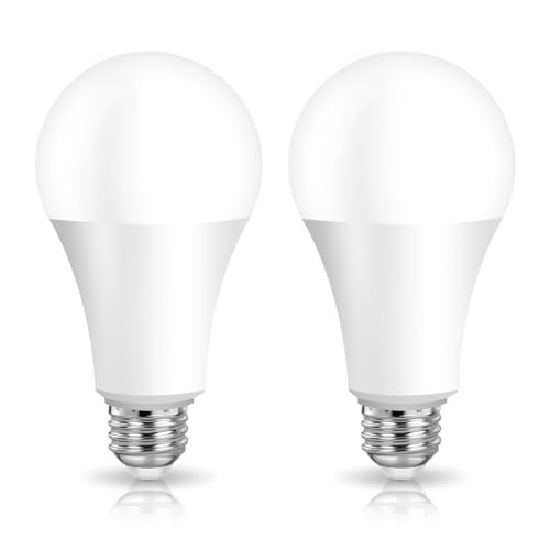 EXTRASTAR Bombillas LED 22W E27 A80, Luz Blanca Fría 6500K, 2500Lm, No regulable, 2Pcs