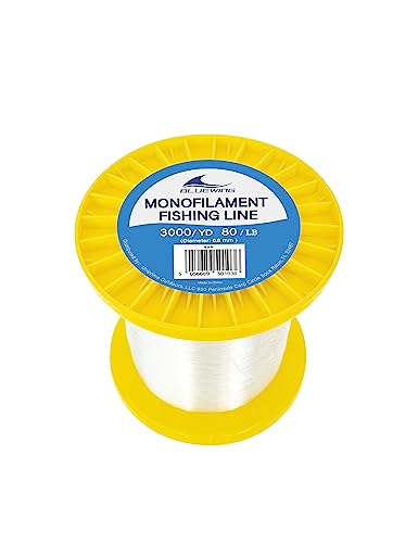 BLUEWING Monofilament Fishing Line Dia. 0.8mm 80 lbs 3000 Yards Invisible Thin Diameter Mono Fish Wire String, Clear