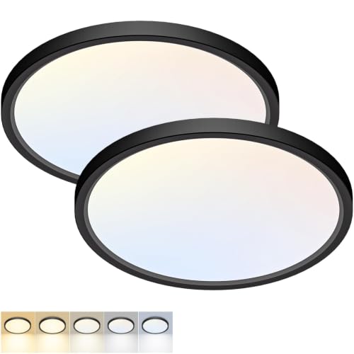 Fairdeer 2 Pack 12Inch LED Flush Mount Ceiling Light 5 Color Temperatures