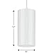 Progress Lighting 6-Inch 1-Light Modern Outdoor Hanging Pendant Light, Cylinder Collection, Indoor & Outdoor, P500356-030, White