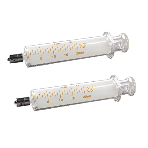 Jiaxix 2Pack 20ml/cc Glass Syringes With Metal Head and Caps for Industry or Labtoratory