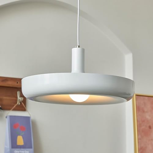 Lustre de Plafond à Tête Unique en Métal Peint