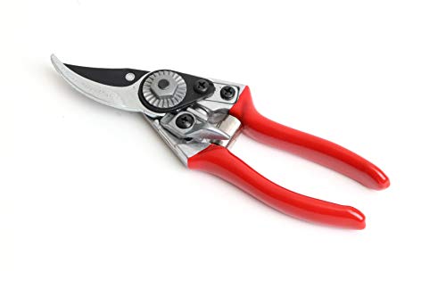Darlac Small Bypass Secateur - Lightweight Perfect for Small Hands & Light Pruning - Tension Adjuster - SK5 High Carbon Steel Blade & Rust Resistant - Clean High-Performance Cutting