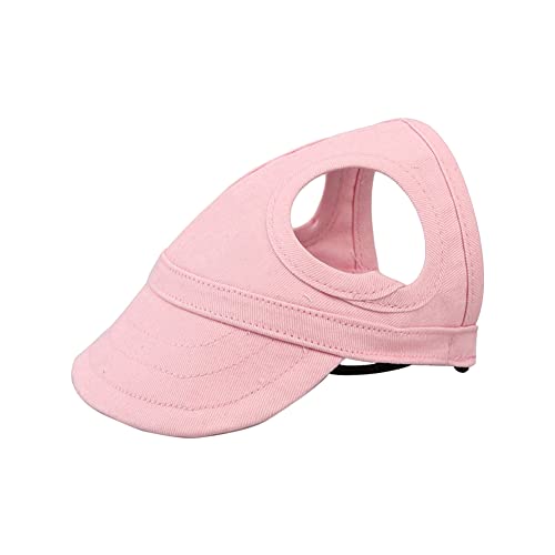  Xq Lbv  싅X Ăh~ O΍ ^ ^ ^ hbNEFA C o U (L,sN)